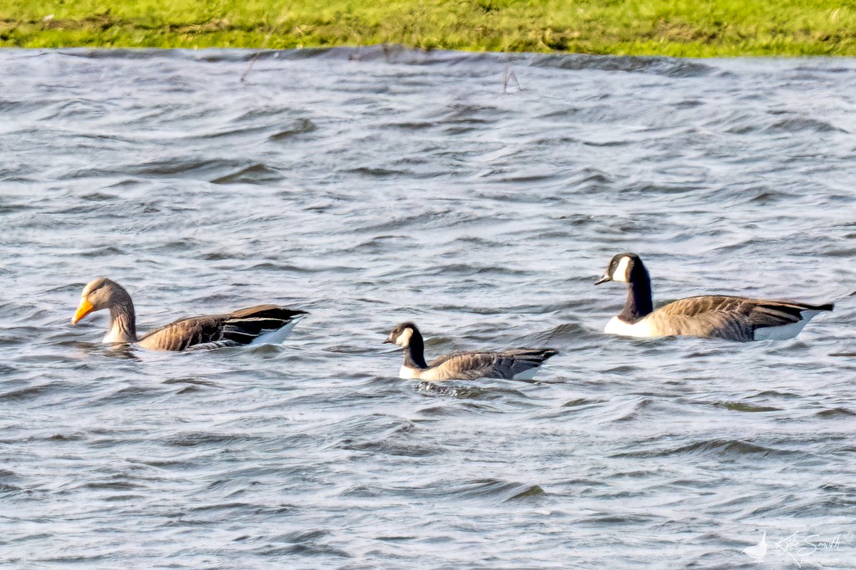 Kyle Smith 🏴󠁧󠁢󠁳󠁣󠁴󠁿 tweet media