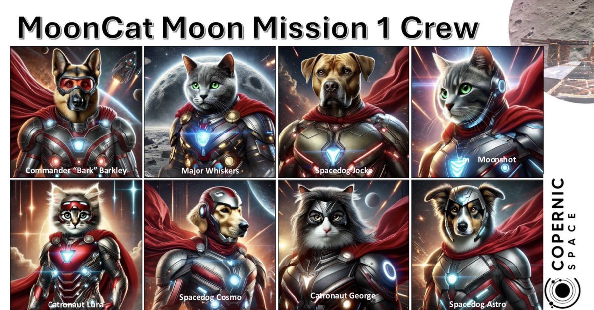 Mooncat415 tweet media