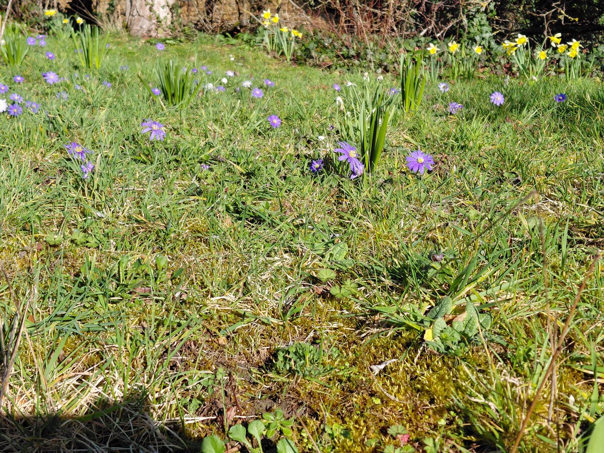 Michael Sanderson tweet media