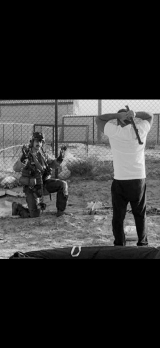 محمد فهد tweet media