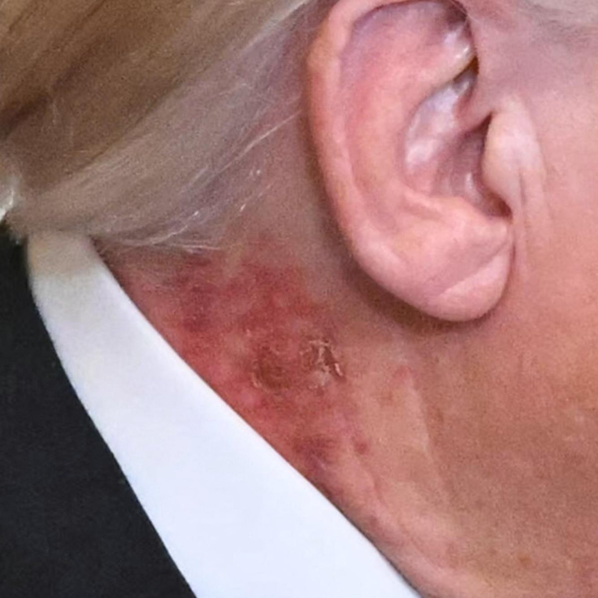 The Lincoln Project tweet media