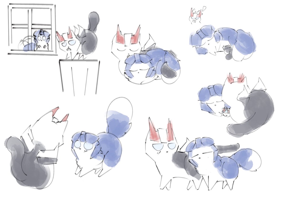 CAT AU AYY