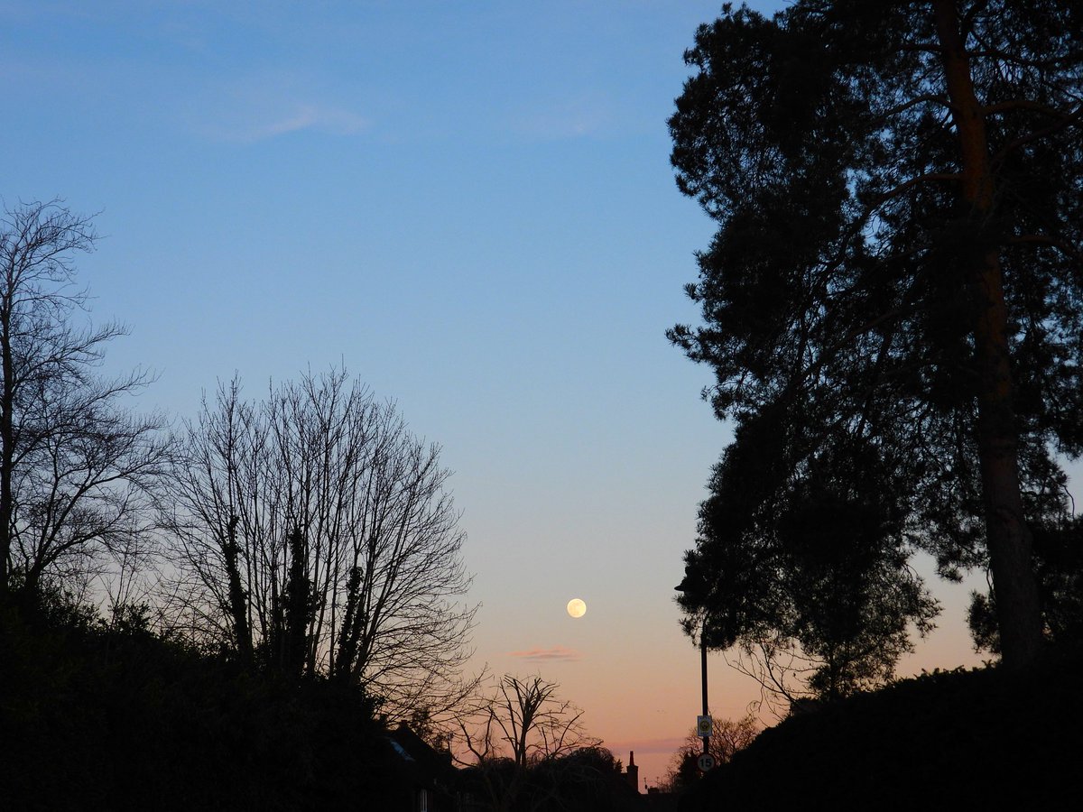 Epiphany tweet media