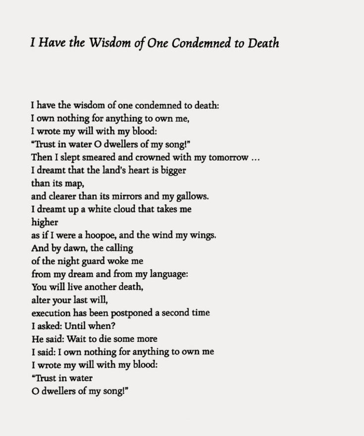 Dr. John Konstantin (Sinoptic International) tweet media