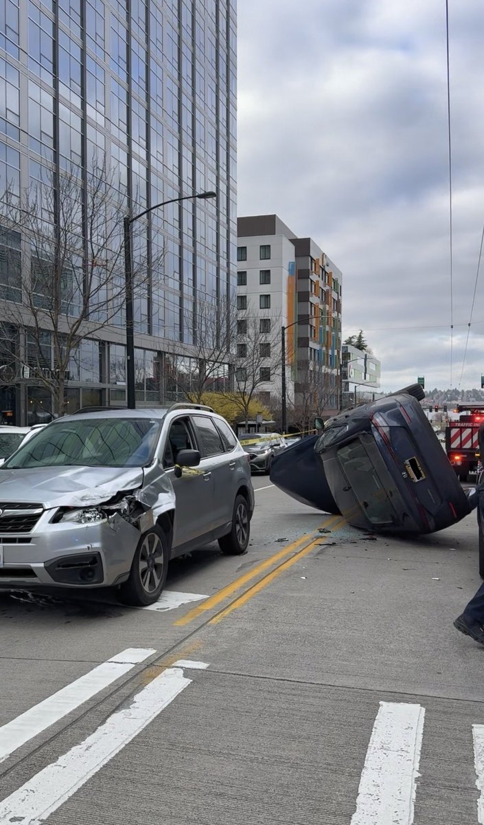 Stella Sun tweet media