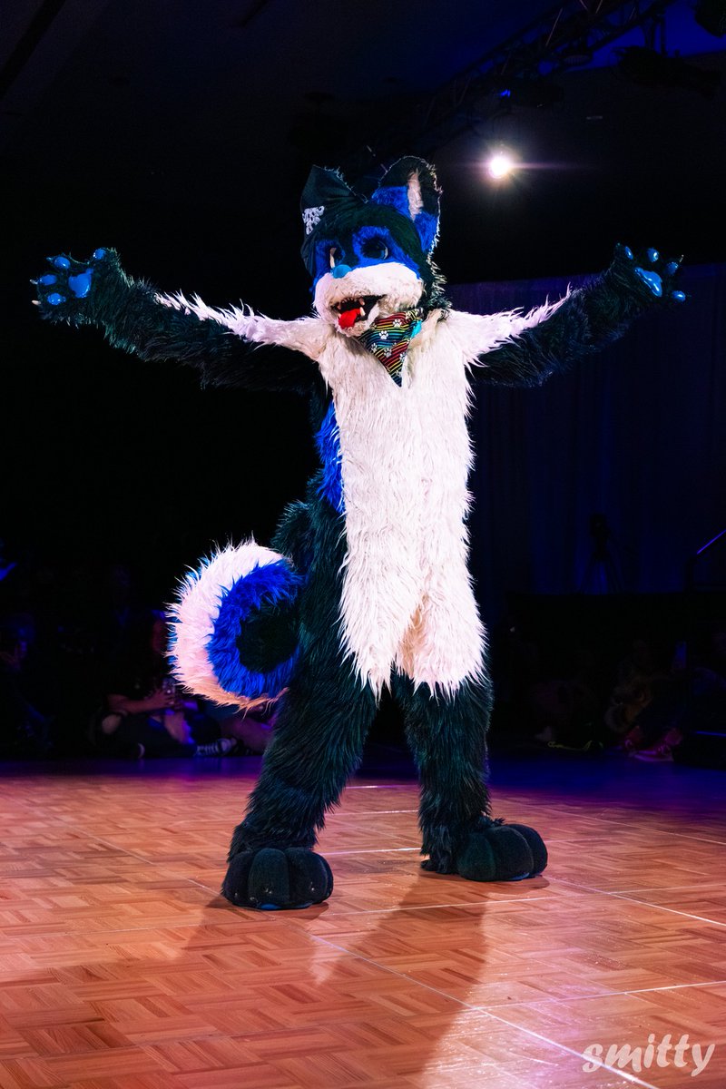 Eco the wusky 🇨🇦 🔜 vf 2026 tweet media