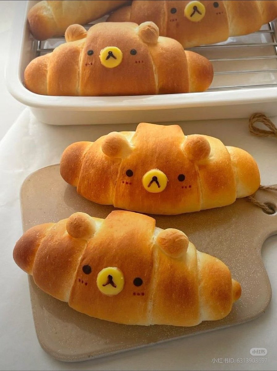 Dolce (@daily_dolce) on Twitter photo 