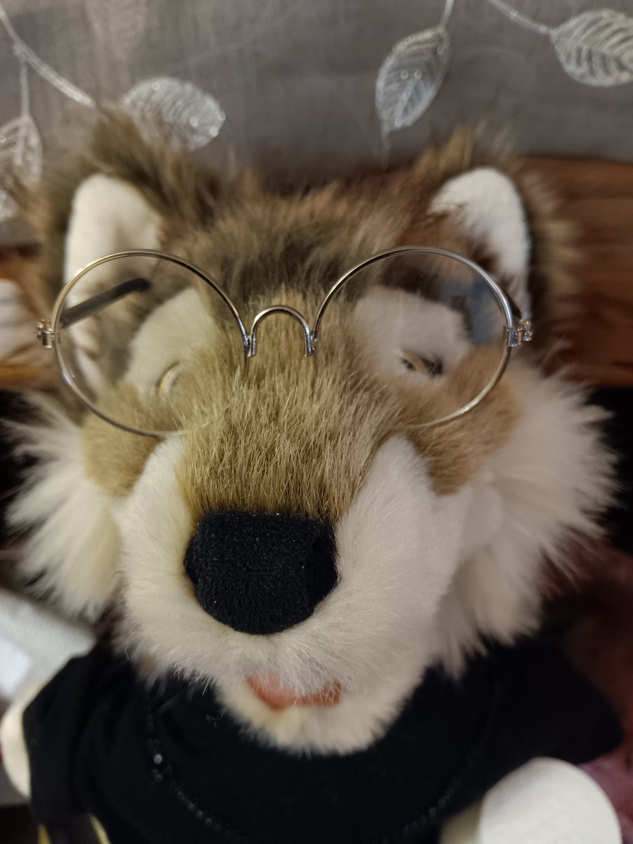 Kelly A Cote tweet media