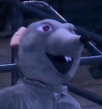 DBacks Dispatch tweet media