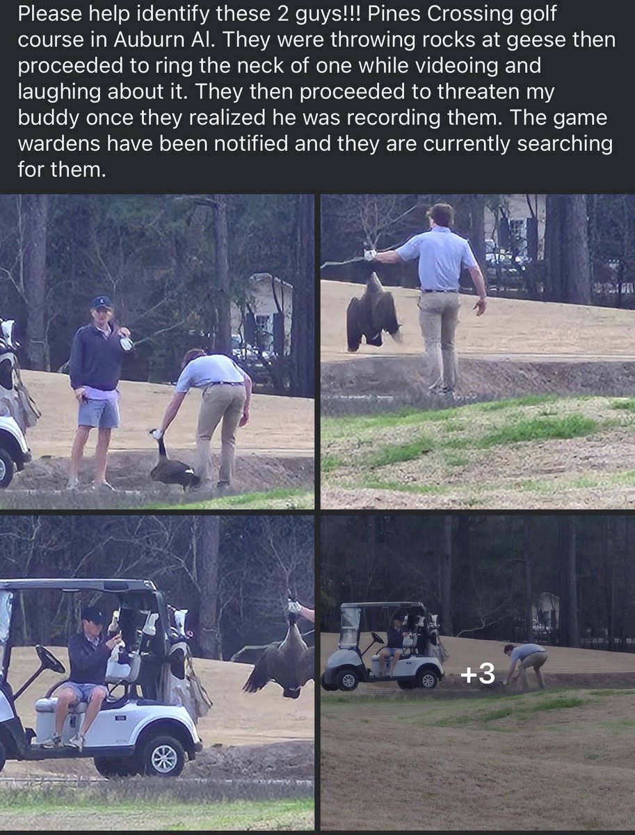 Chad “Maserati” Baker tweet media