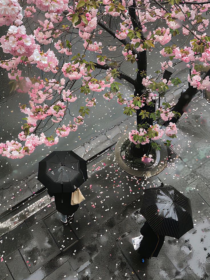 𝓞𝓷𝓵𝔂 𝓐𝓮𝓼𝓽𝓱𝓮𝓽𝓲𝓬 (@oaesthetiicc) on Twitter photo 