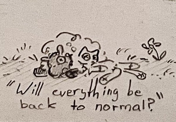 KUR1O_'s tweet photo. “Will everything be back to normal?”

[Part 1]

#pr3ttyprincess #C00LKIDD #pr3ttykidd (?) #c00lprincess (?)

Mentioned (as parents): #118o8 (proud single mother) ; #007n7 #noli ( #voidburger ) https://t.co/HYFezzqQhB