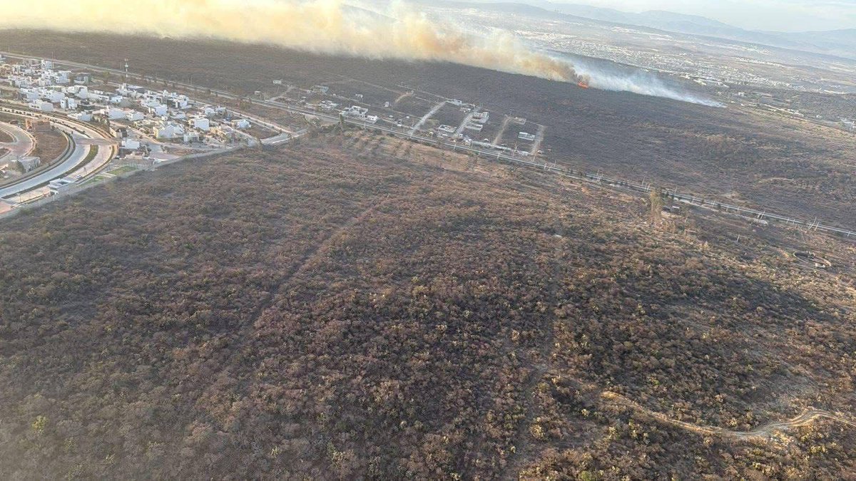 AlertaQro's tweet photo. 🗣️🌳Exigen ambientalistas comenzar con restauración del #Tangano tras incendios
🌳🔥El año pasado, 530 hectáreas se vieron afectadas por un incendio forestal y las autoridades aún no cuentan con un diagnóstico de las afectaciones ambientales.👇
https://t.co/TxXovdZGqe https://t.co/mSQYWN6mW6