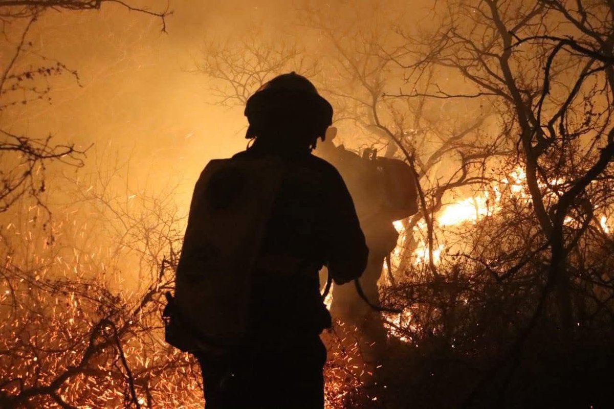 AlertaQro's tweet photo. 🗣️🌳Exigen ambientalistas comenzar con restauración del #Tangano tras incendios
🌳🔥El año pasado, 530 hectáreas se vieron afectadas por un incendio forestal y las autoridades aún no cuentan con un diagnóstico de las afectaciones ambientales.👇
https://t.co/TxXovdZGqe https://t.co/mSQYWN6mW6