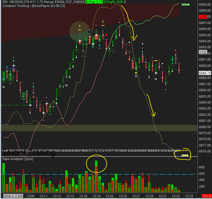 Lewis De Payne tweet media