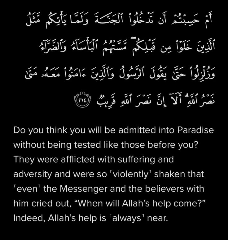 BintArif11's tweet photo. https://t.co/LHIljibdnQ