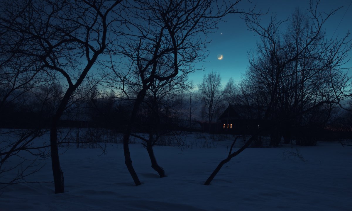 Василиса tweet media