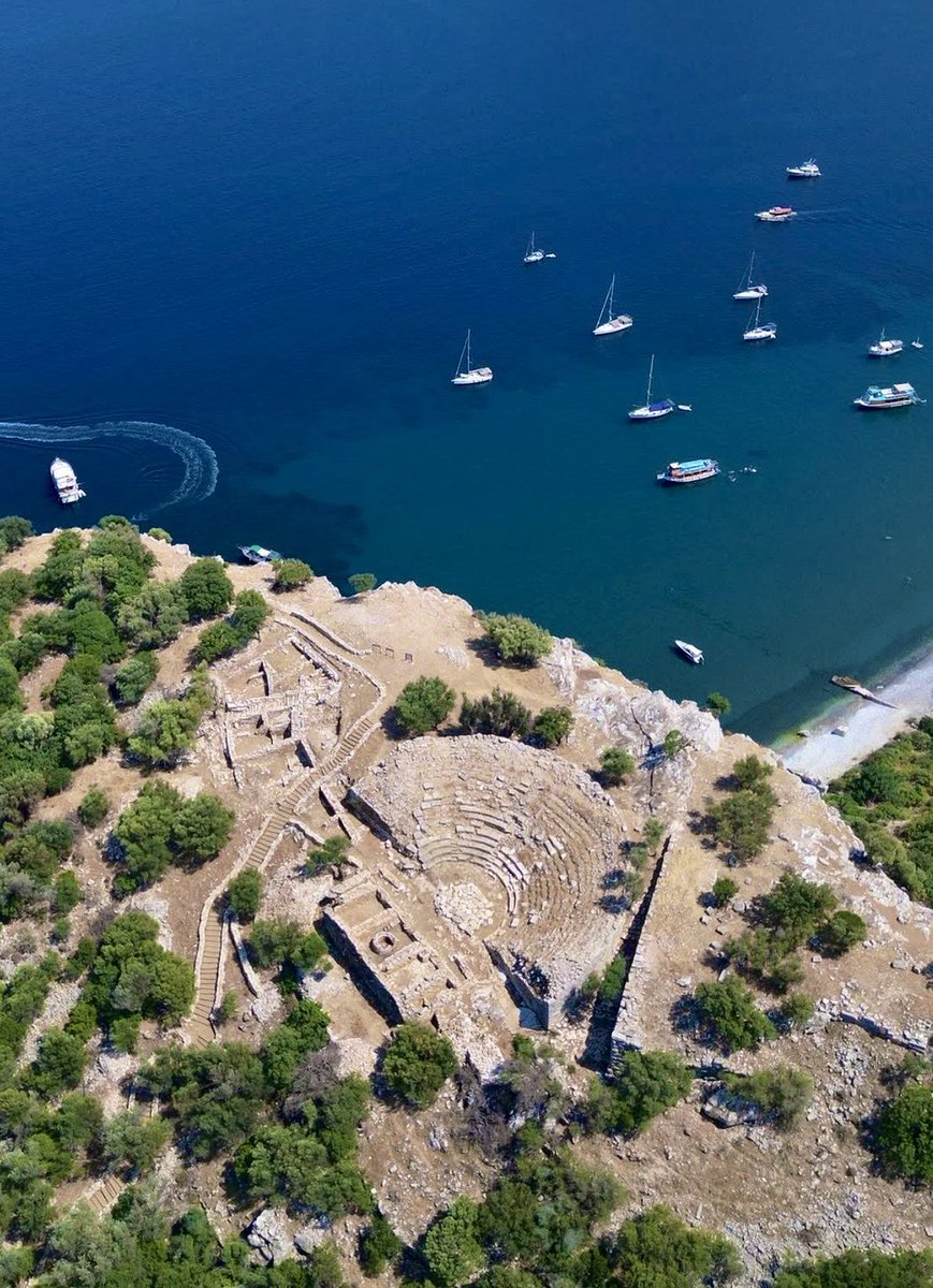 Basileos tweet media