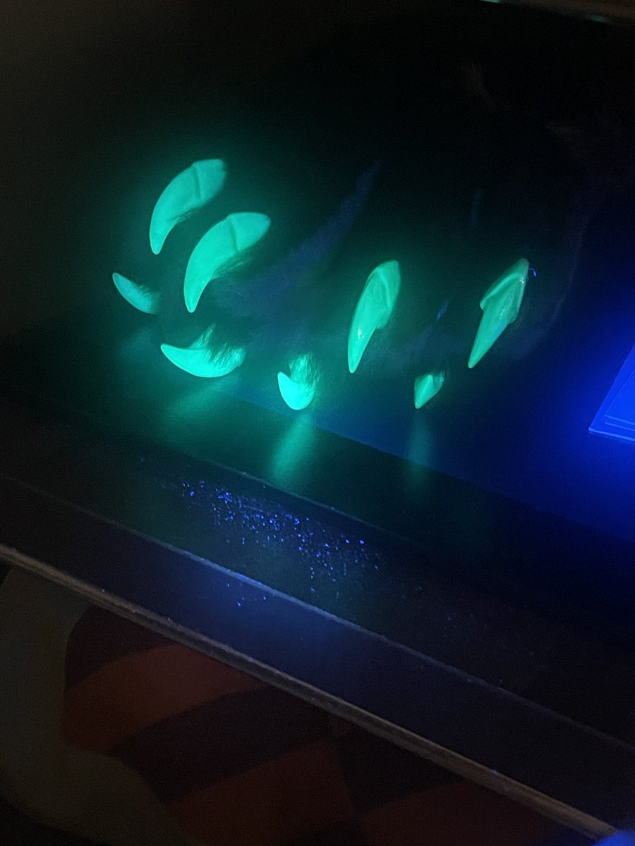 Telson🔞 tweet media