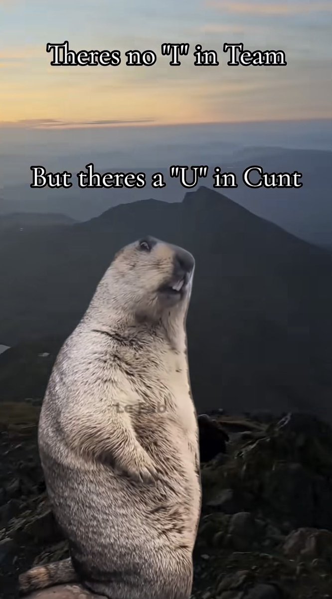 Cunt of the day.. (@cotd2022) on Twitter photo 