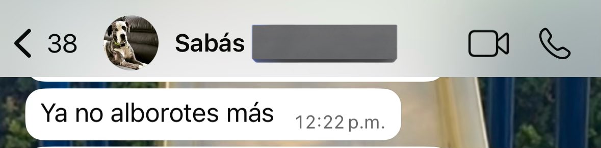 paulinago91's tweet photo. Jajajajajaja… Paulina siendo Paulina y Sabás bajándola al mundo real. https://t.co/ulQIJKVy4A
