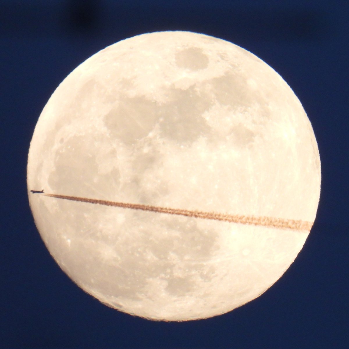 Epiphany tweet media