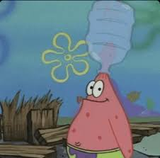 MidonatorN tweet media