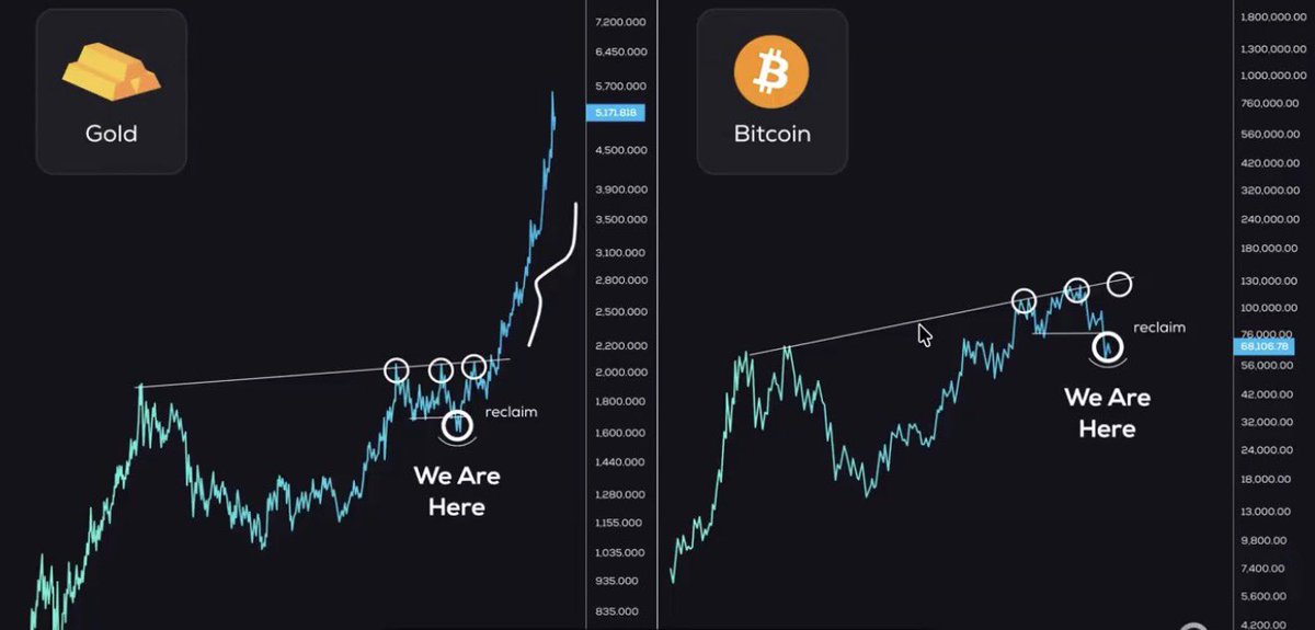 Arnau Catalist tweet media