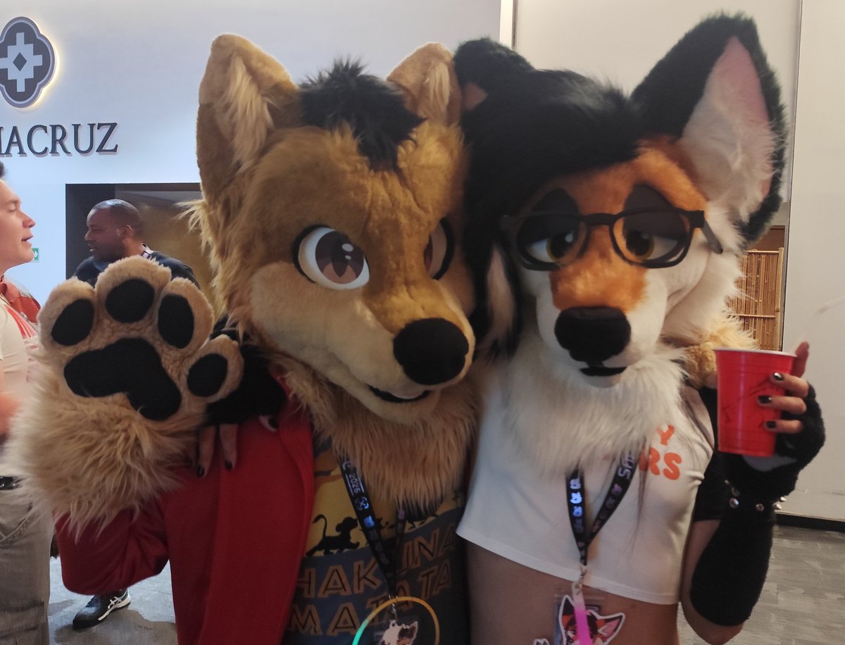 Dj Wolfe tweet media