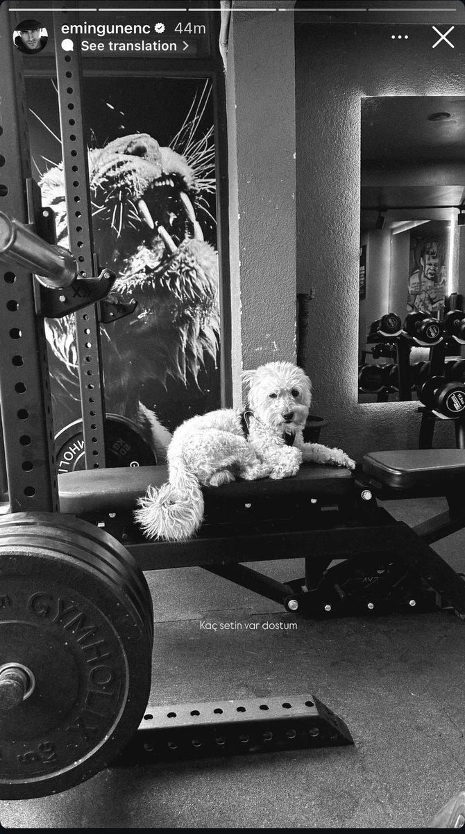 EminGGlobal's tweet photo. 🆕 Via IG Story
“How many sets do you have, my friend?” 🐶💪
Gym partner on duty… supervising every rep.
No days off.
#EminGünenç • #EminGGlobal https://t.co/6xtrp1A2vu