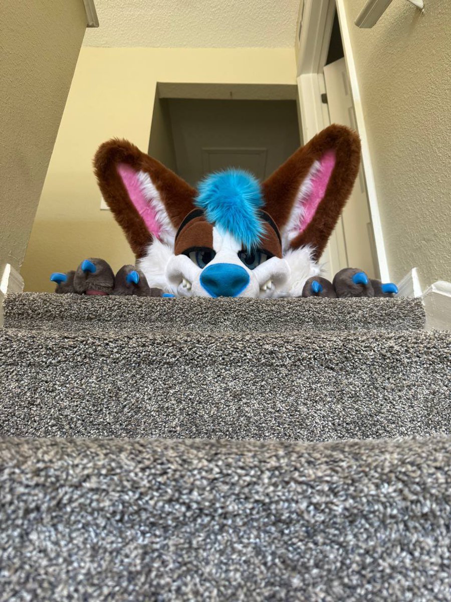 Bodie ! 🔜 LVFC tweet media