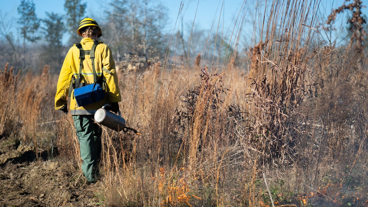 South Carolina Forestry Commission tweet media