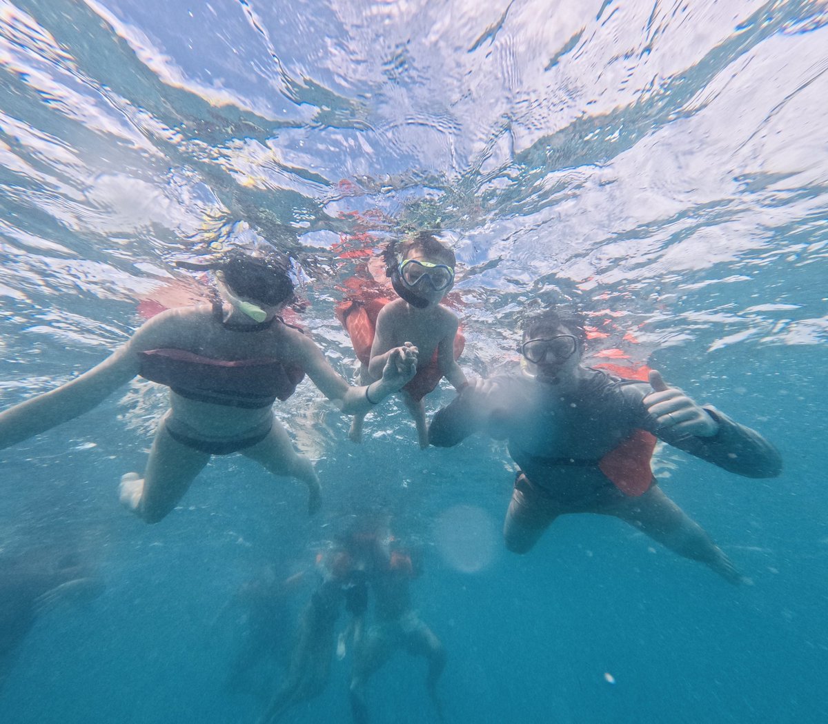 Patrick Dichter tweet media