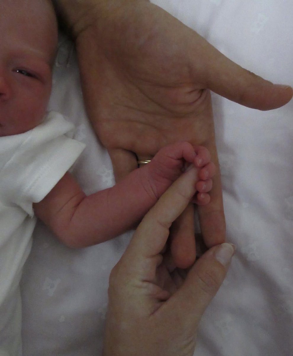 sof 🎀 ⚡︎⛧ tweet media