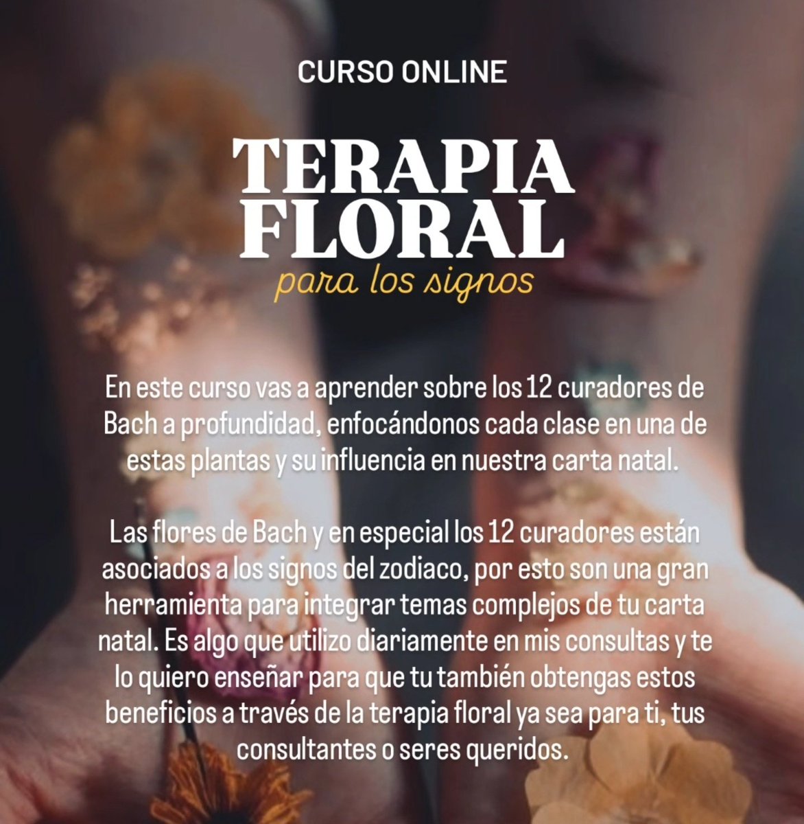 herbonauta's tweet photo. ¡Hola! paso para recordarles sobre este curso donde vamos a estar explorando los 12 curadores de Bach a través del #zodiaco para remediar temas de la #cartanatal. 

Si quieres hacer parte o necesitas más información te dejo por aquí el link. 🌿💫

https://t.co/eLE5DlXNse https://t.co/nDXpnghlSR