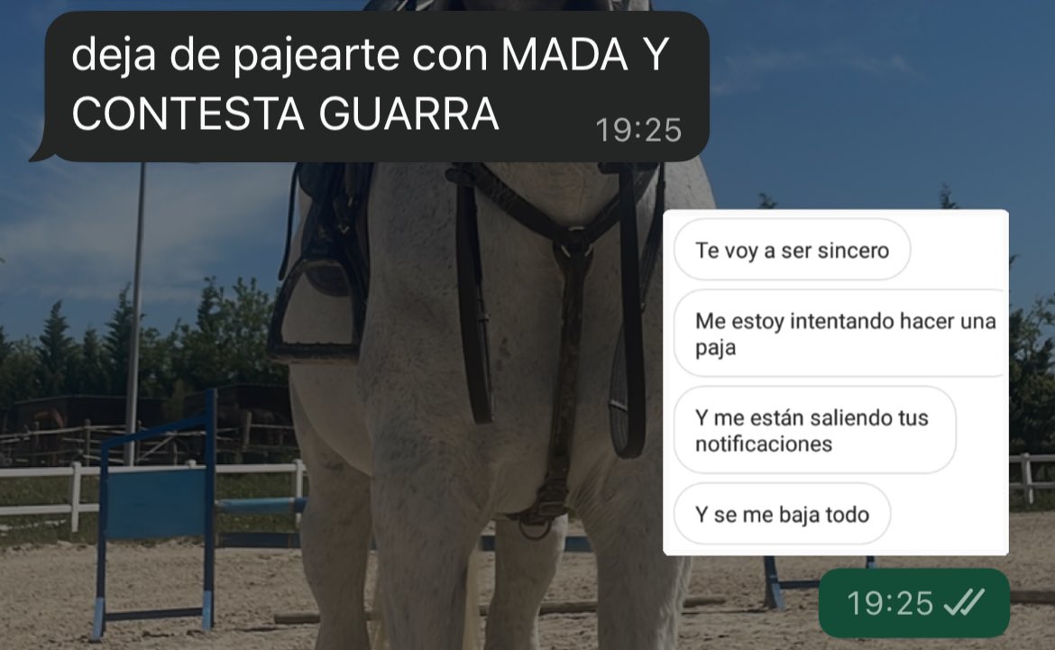 DMNX mai tweet media