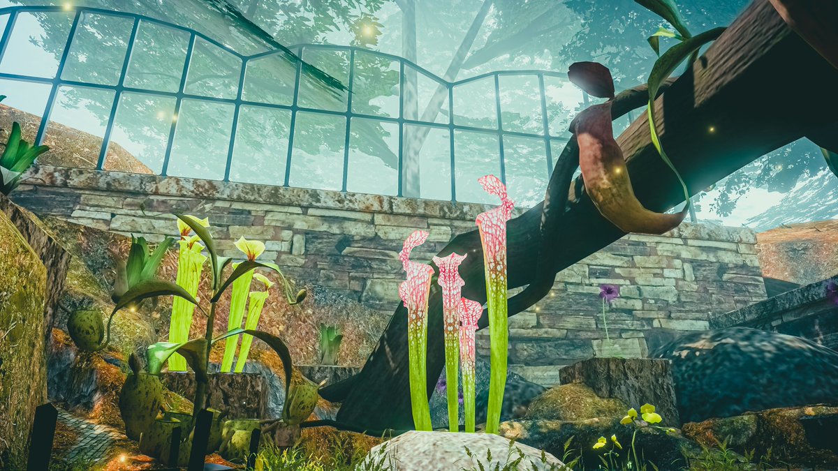 Neomance【VR Photographer】 tweet media