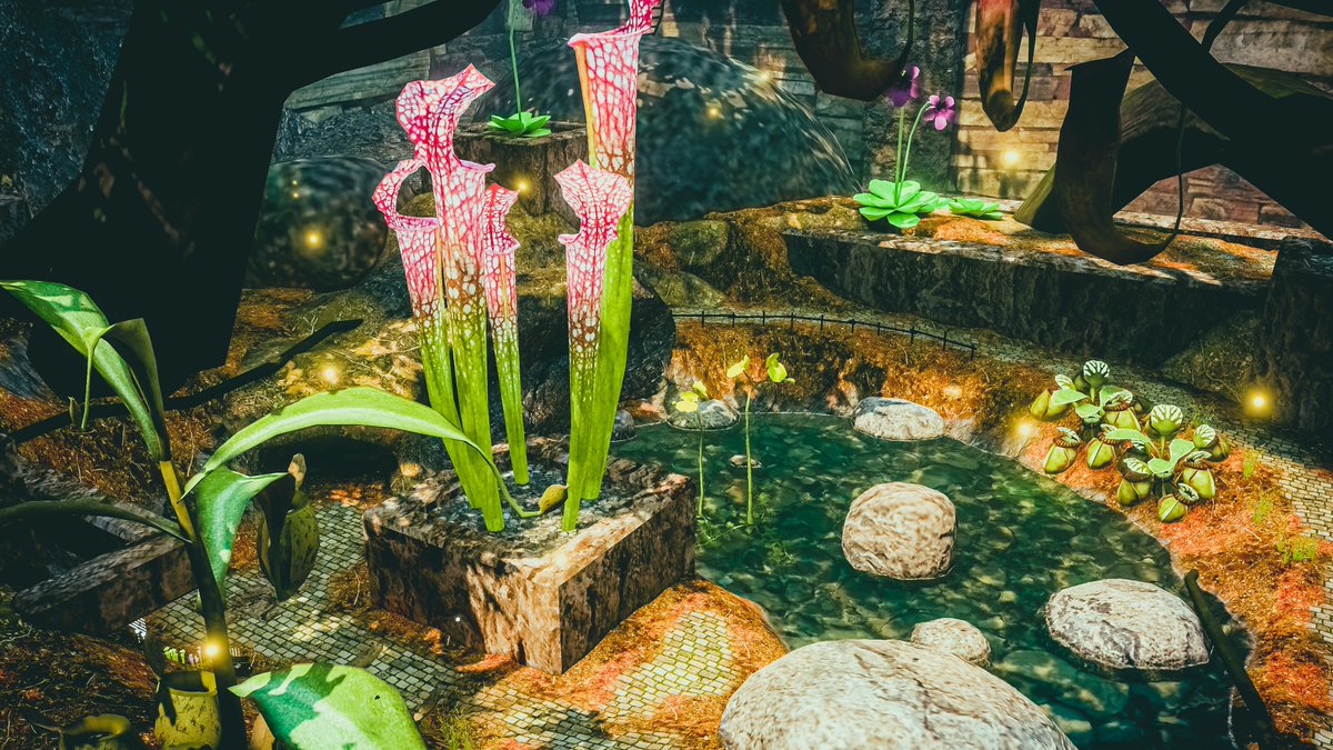 Neomance【VR Photographer】 tweet media