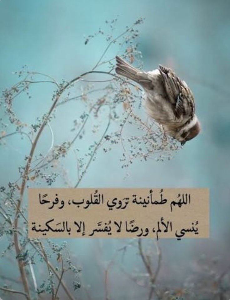 🌸🌼السعادة والرضا لقلوبكم 🤲🌸🌼💛💎💛🌸🇸🇦🕋🌼