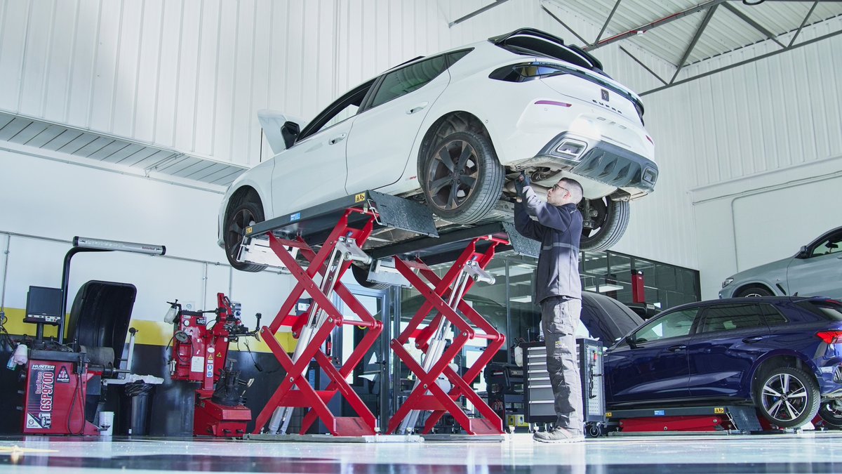 autoPneu | Diario del neumático tweet media