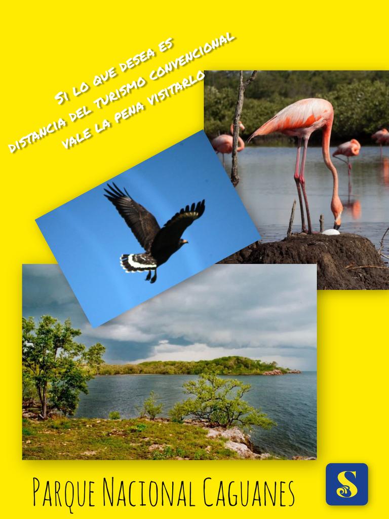 🌿🦅 Si lo que se desea es distancia del turismo convencional, el esfuerzo por visitarlo, vale la pena. 
Tienes que conocer el Parque Nacional Caguanes.

Más 🔗
acortar.link/EKkIXn

#Cuba #turismodenaturaleza #CubaUnica