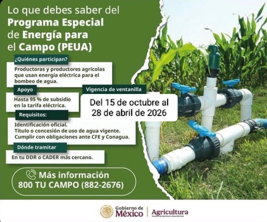 Amigo Productor acude ya al CADER ó DDR mas cercano a tu localidad y la inscripción y reinscipción del programa de cuota energetica para el campo (PEUA), ahorra hasta un 95% en el consumo de agua para riego agrícola. fecha limite 28 de abril de 2026
<a href="/JulioBerdegue/">Julio Berdegué</a> <a href="/ismaelayala7/">Ismael Ayala Salazar</a>