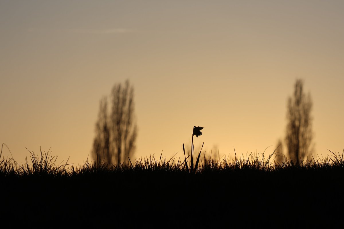 Went on a little walk before sunset #photography #nature