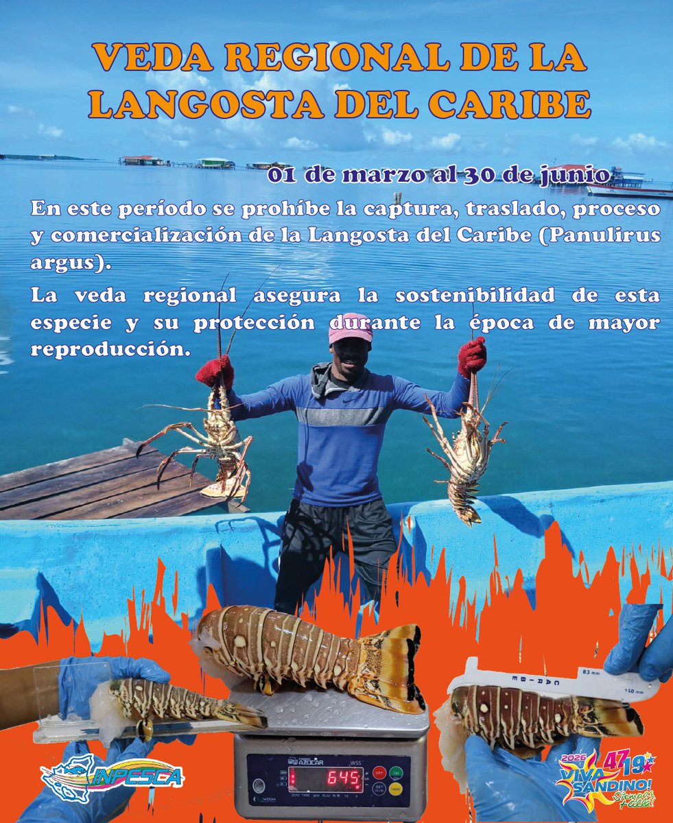 INPESCANic tweet media