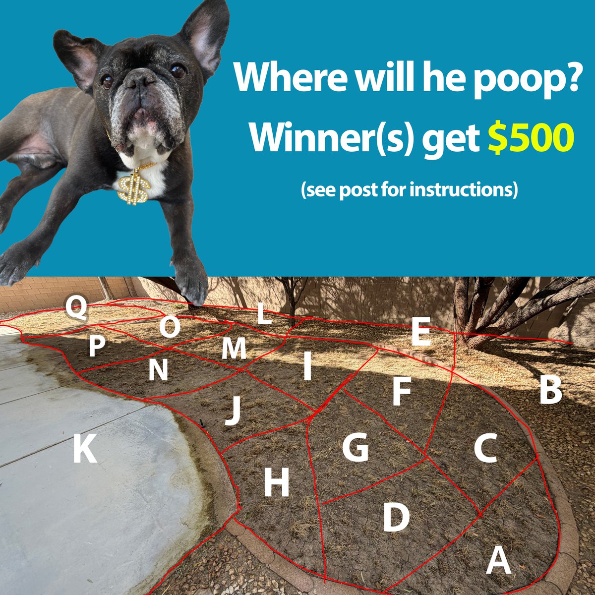 $500 prize to winner(s) that guess correctly.   

Instructions:  
1. ❤️ + RT + Follow
2. Comment: EVM address + your guess + #proofofpoop
3. Optional: add a poop joke (best one gets $50 prize)

💩 Proof-of-poop + winners announced tomorrow!

WE HAVE GAMES EVERY DAY THIS WEEK!