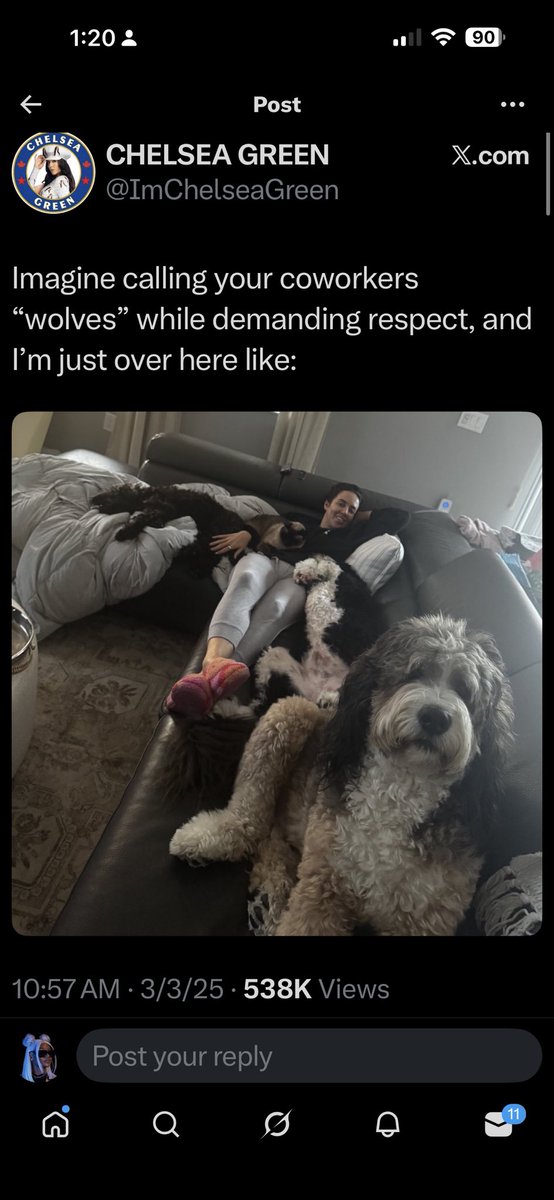 chanelrules_'s tweet photo. Why is it that everytime Jade is doing her own storyline with others or is a in a feud, this lady gets on here and inserts herself into something that has nothing to do with her. https://t.co/oee2AfPD8n