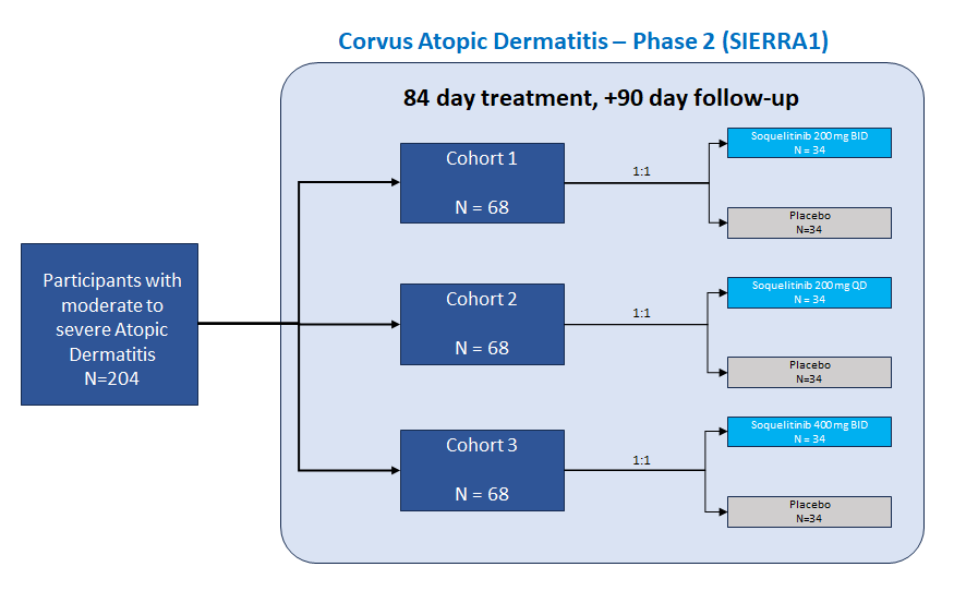 Here's what the new $CRVS Phase 2 AD Trial design for #SIERRA1 should look like. Corrections welcome.