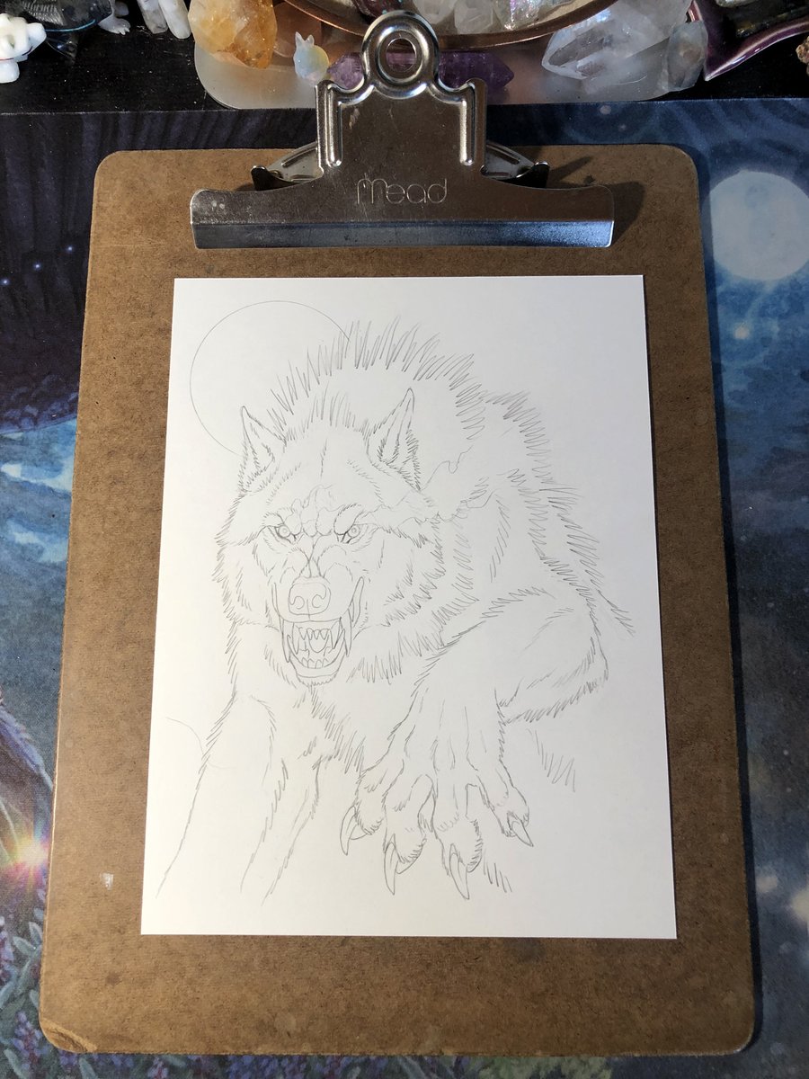 goldenwolf.bsky.social tweet media