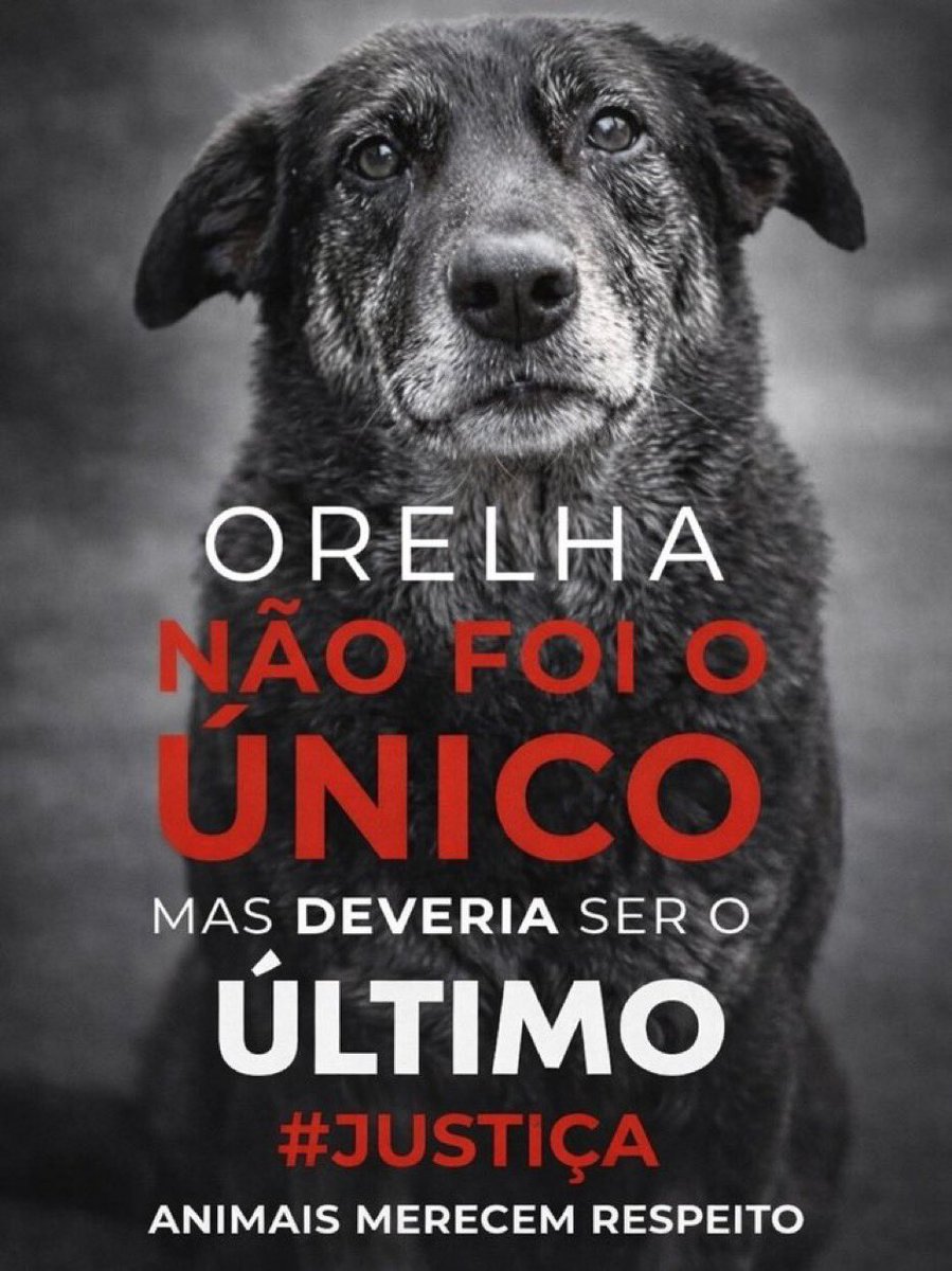 João Figueiredo tweet media