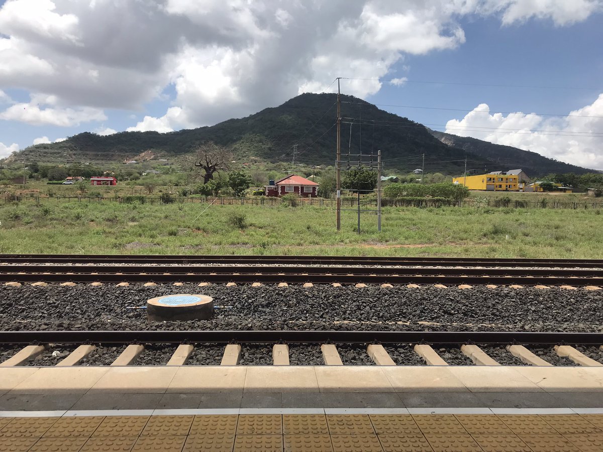 Miss Understood tweet media